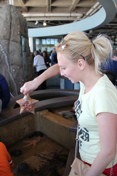 �������� � ��������